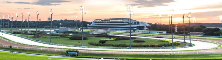 Kranji racehorse