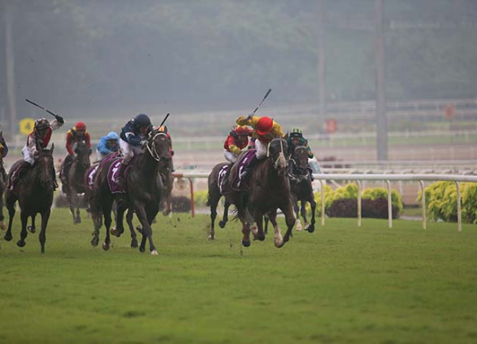 A picture of horse race